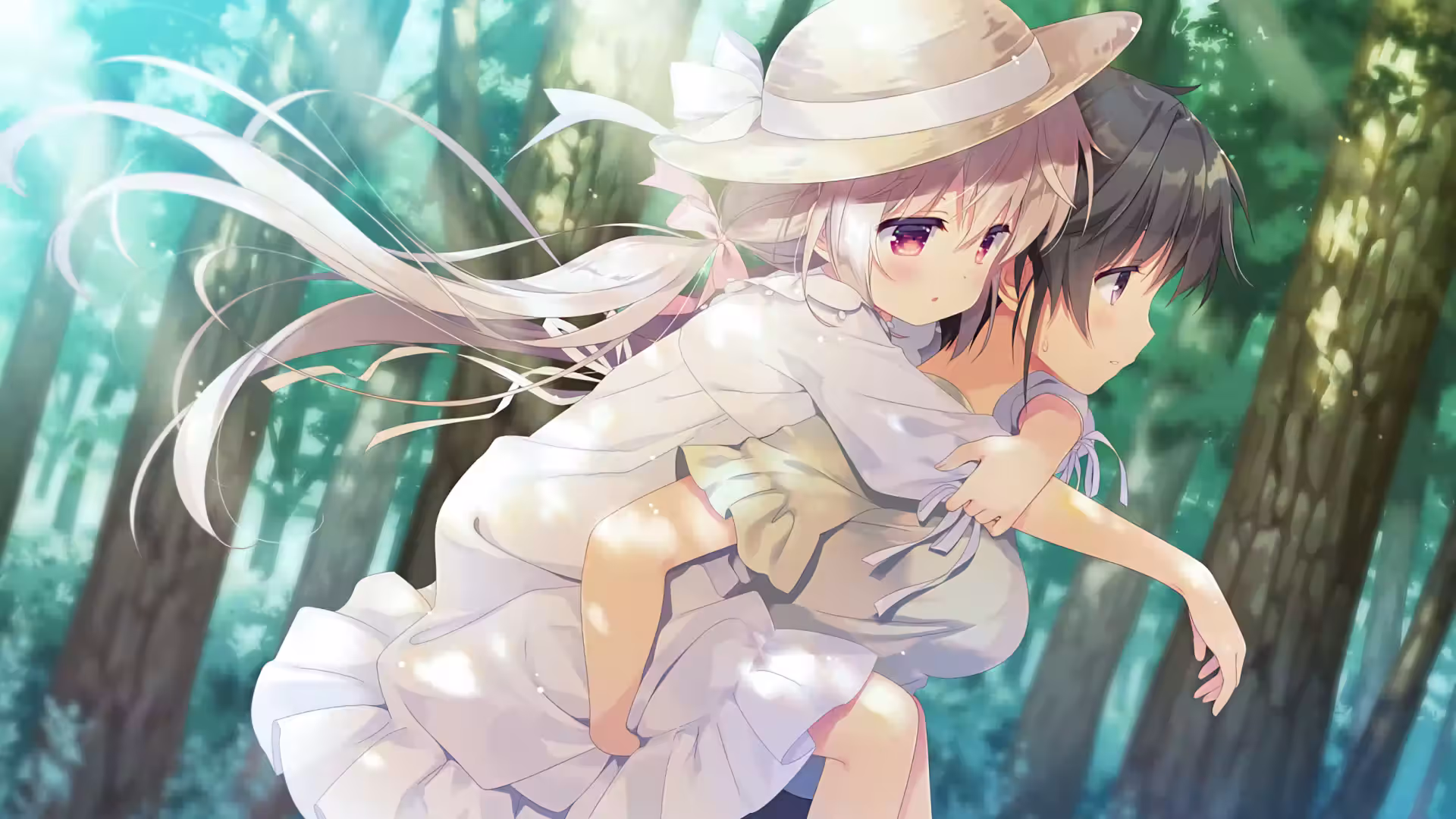 如何通过 VNDB 检索 Galgame?