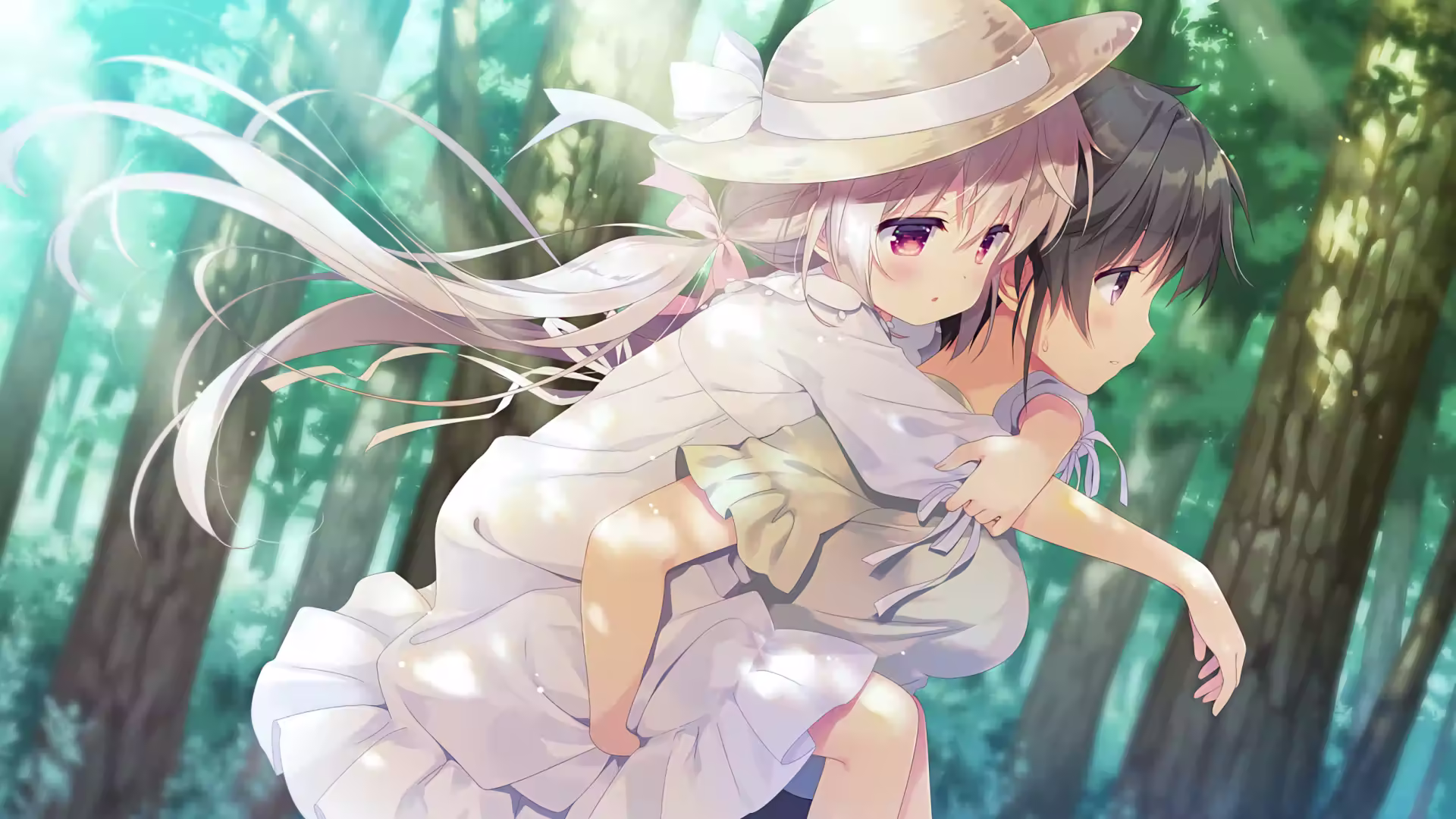 如何通过 VNDB 检索 Galgame?