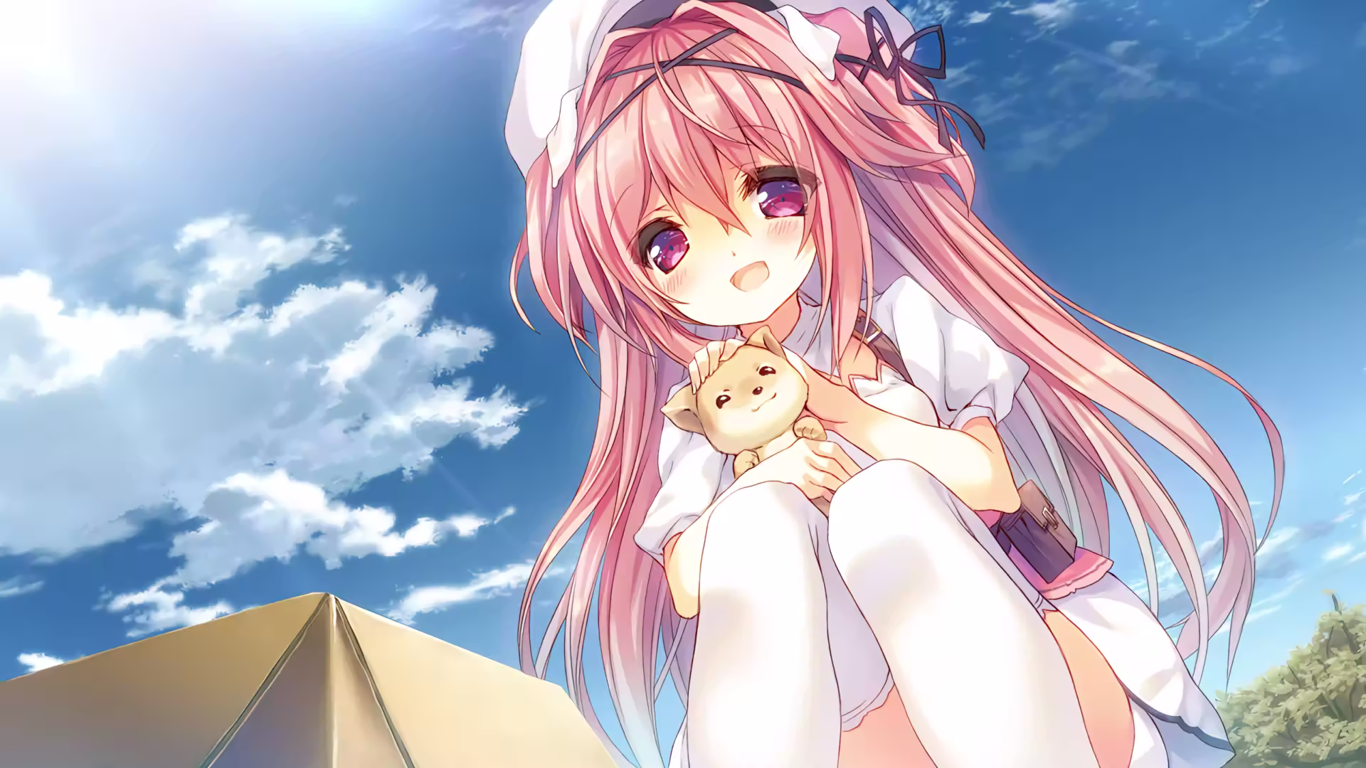 关于 Galgame 资源的盗链界定